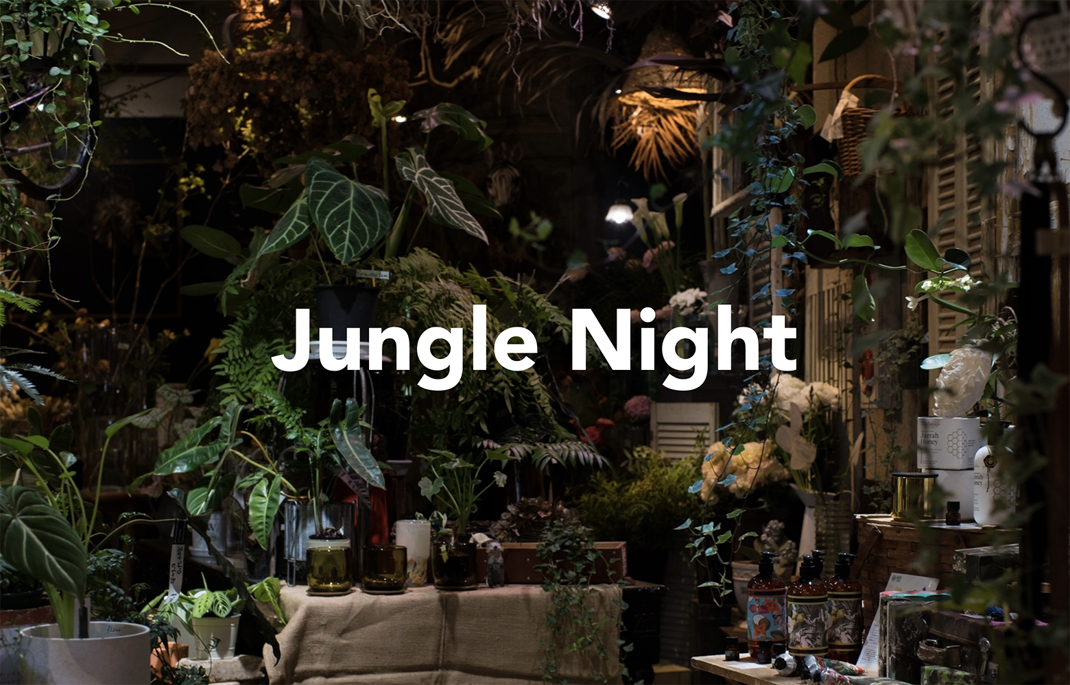 Jungle Night 2026 開催のお知らせ